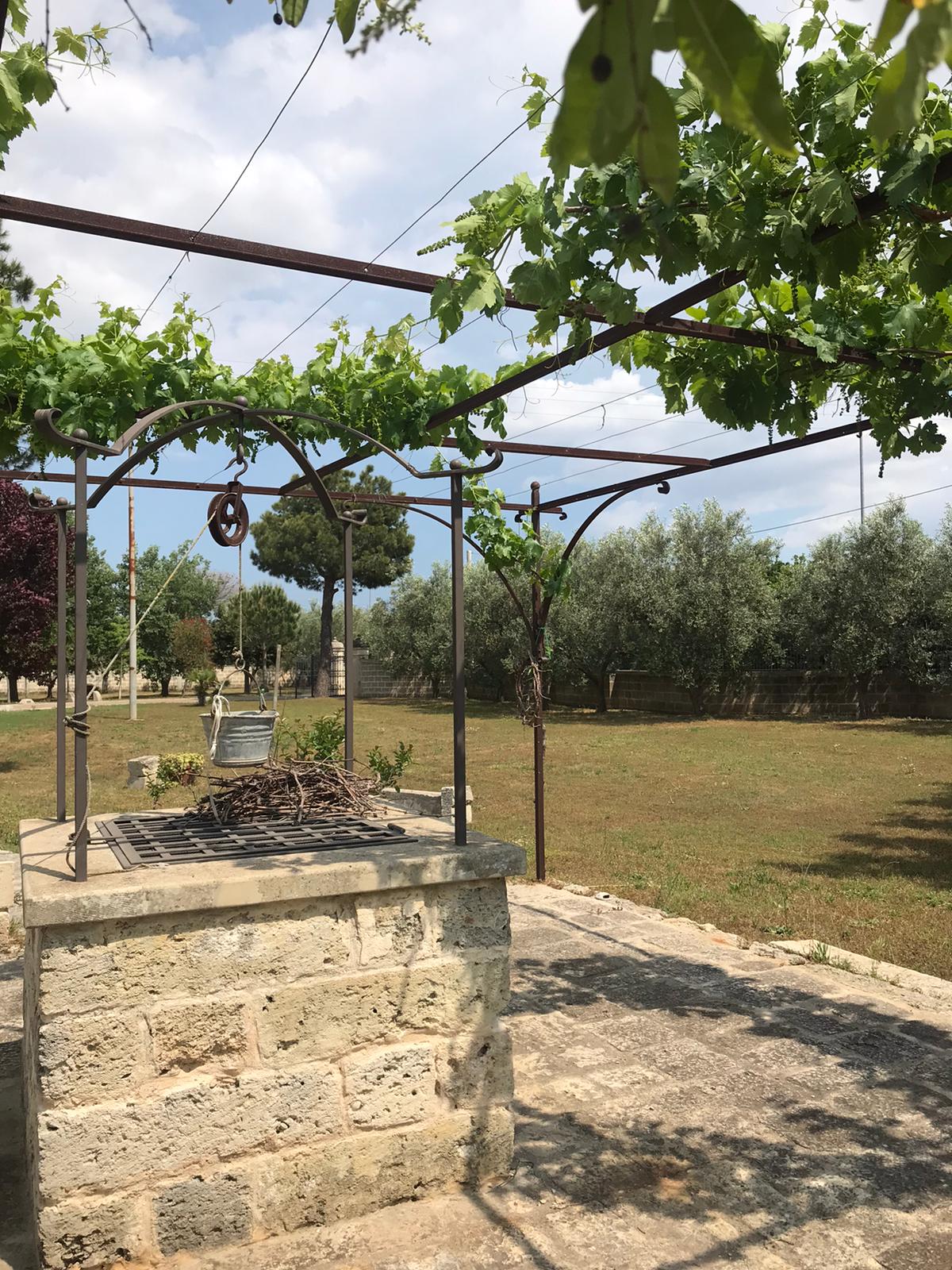 Coperture e Pergolati - TRT Tortorella Antonio Aradeo (LE) - foto 5