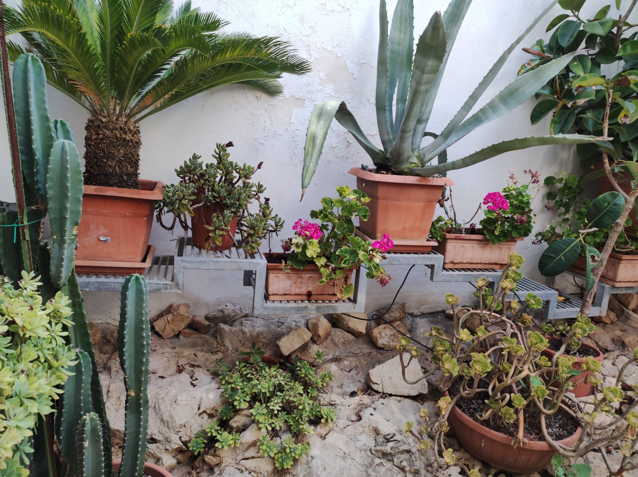 Oggettistica e Arredamento - TRT Tortorella Antonio Aradeo (LE)