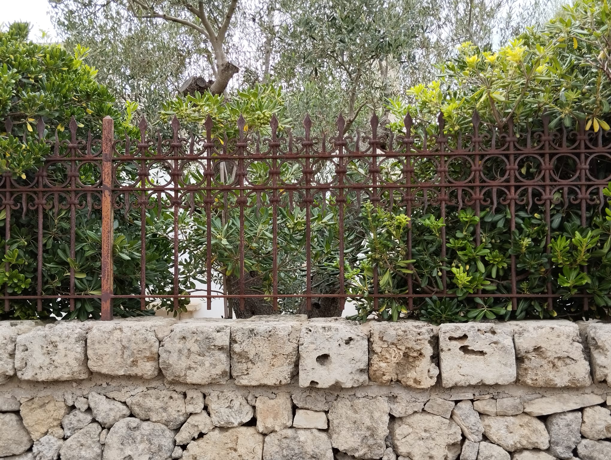 Ringhiere in Ferro Battuto - TRT Tortorella Antonio Aradeo (LE) - foto 11