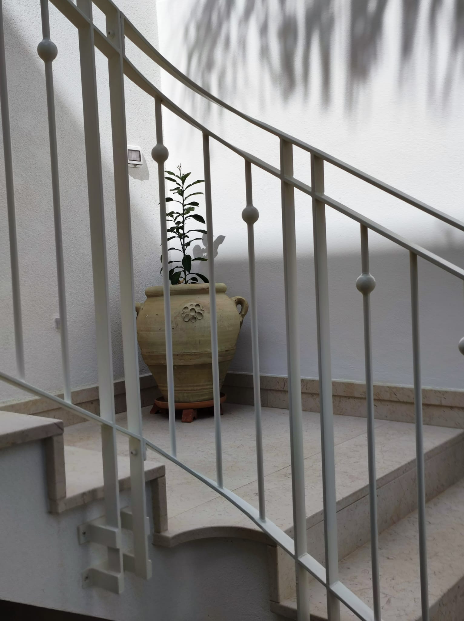 Ringhiere in Ferro Battuto - TRT Tortorella Antonio Aradeo (LE)