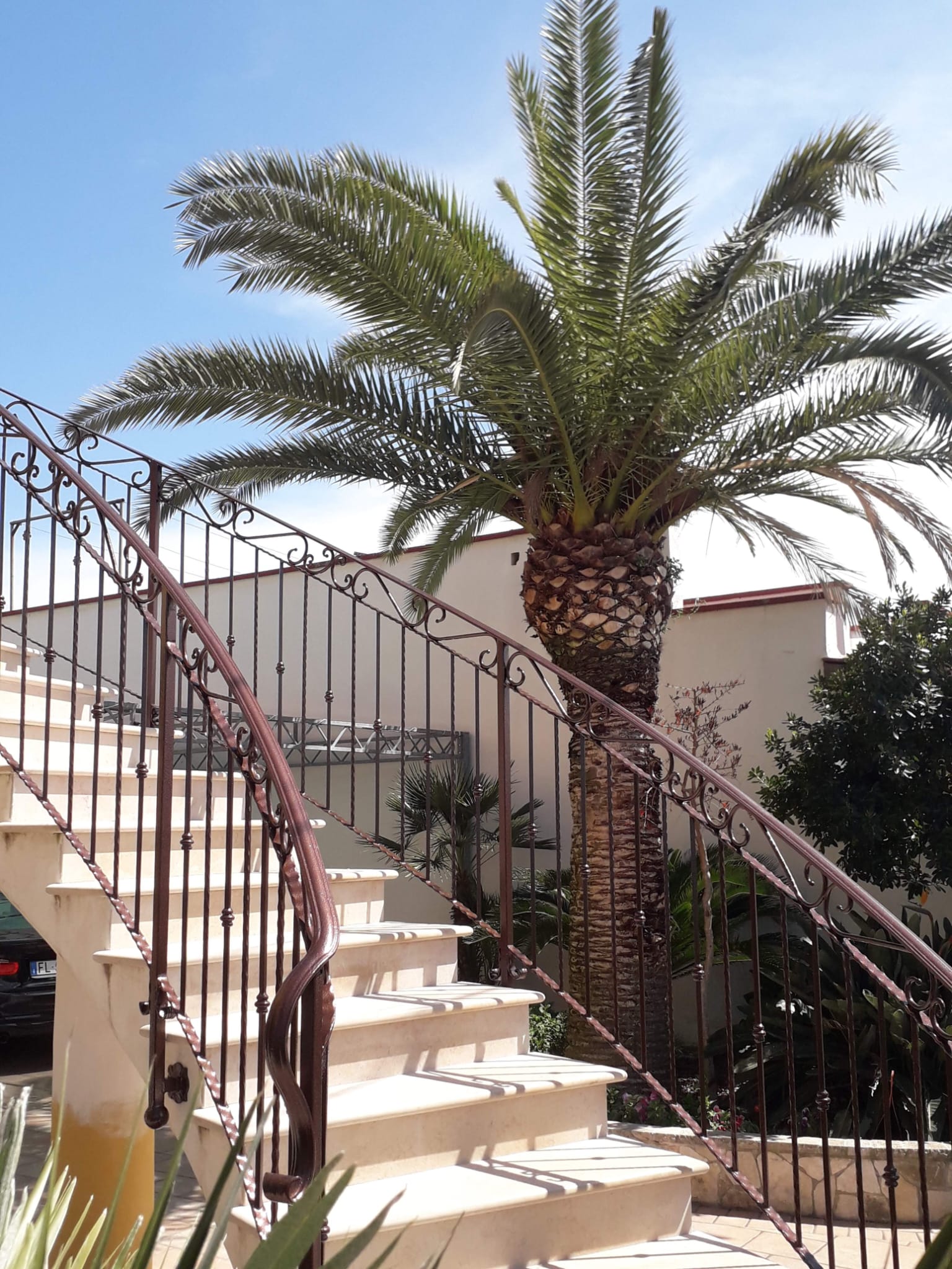 Scale in Ferro Battuto - TRT Tortorella Antonio Aradeo (LE) - foto 7